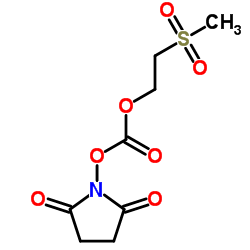 2-(甲磺酰)乙基琥珀酰亚胺基碳酸酯
