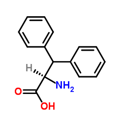 2-氨基-3,3-二苯丙酸