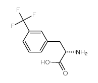 L-3-三氟甲基苯丙氨酸