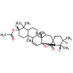 3-乙酰氧基-11-乌苏烯-28,13-内酯