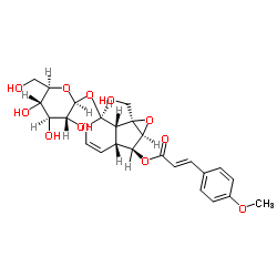 6-O-对甲氧基肉桂酰梓醇