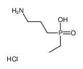 CGP 36216