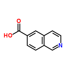 6-异喹啉甲酸