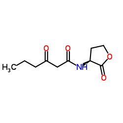 N-(3-氧代己酰)-DL-高丝氨酸内酯