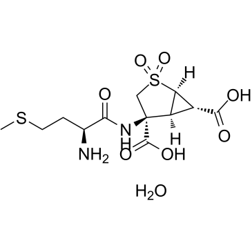 Pomaglumetad methionil