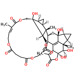 ChloraMultilide C