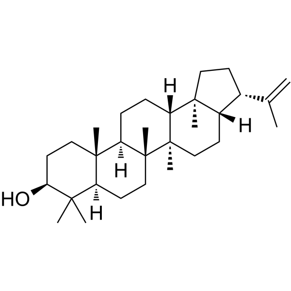 Hopa-22(29)-ene 3β-ol