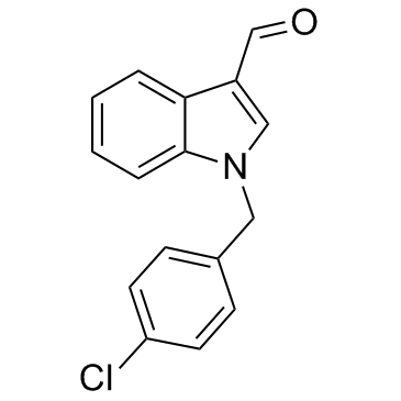 昂克立新1