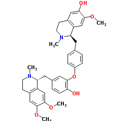 蝙蝠葛诺林碱