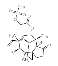 截短侧耳素-22-甲磺酸酯