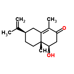 橐吾香附酮醇