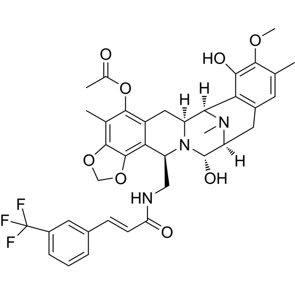 Zalypsis