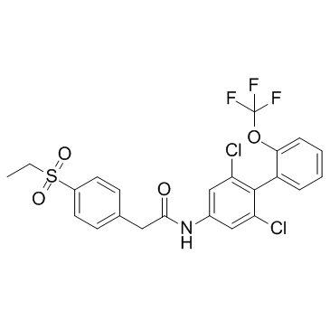 GSK805