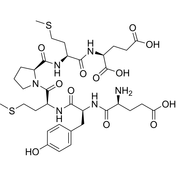 EE epitope