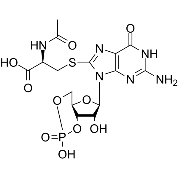 Cys-C-cGMP