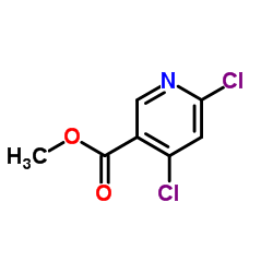 甲基 4,6-二氯烟酸酯