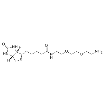 生物素-PEG2-胺