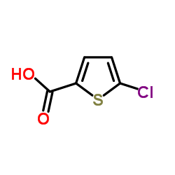 2-氯噻吩-5-甲酸