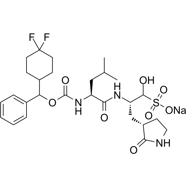 SARS-CoV-2-IN-11