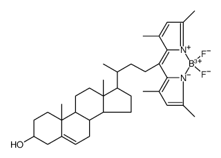 BODIPY-Cholesterol