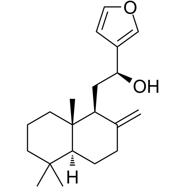 15,16-环氧基-12S-羟基赖百当-8(17),13(16),14-三烯