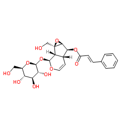 6-O-肉桂酰梓醇