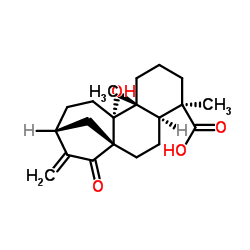 等效-9-羟基-15-氧代-16-贝壳杉烯-19-酸