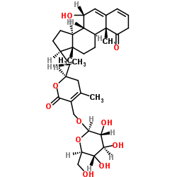 白曼陀罗素