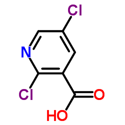 2,5-二氯烟酸