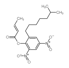 敌螨普标准溶液