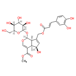 10-O-咖啡酰基去乙酰基交让木苷