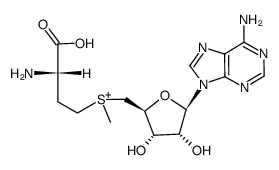 S-腺苷甲硫氨酸