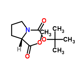 (S)-1-叔-丁基-2-甲基吡咯烷-1,2-二羧酸