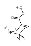 芽子定甲酯