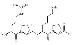 ARG-PRO-LYS-PRO