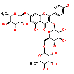 刺槐素