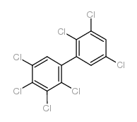 2,2',3,3',4,5,5'-七氯联苯