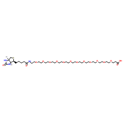 BIOTIN-十二聚乙二醇-丙酸