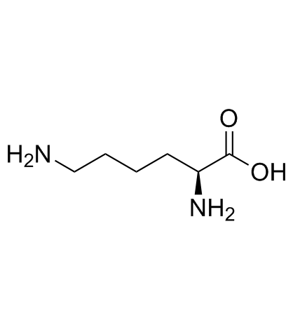 L-赖氨酸