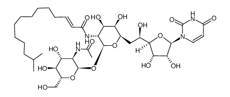 Tunicamycin V