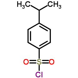 4-异丙基苯磺酰氯