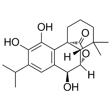 迷迭香酚