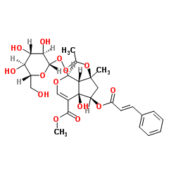 6-O-trans-Cinnamoylphlorigidoside B