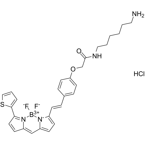 BDP 630/650 amine