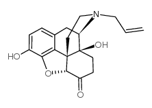 纳洛酮