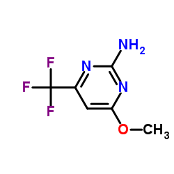 2-氨基-4-甲氧基-6-三氟甲基吡啶