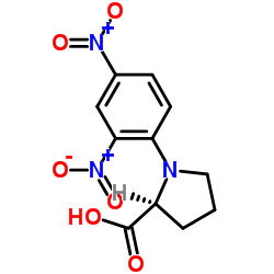 N-(2,4-二硝基苯)-L-脯氨酸