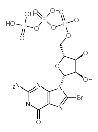 8-Br-GTP