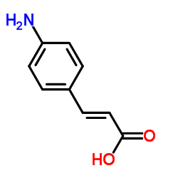 4-胺桂皮酸