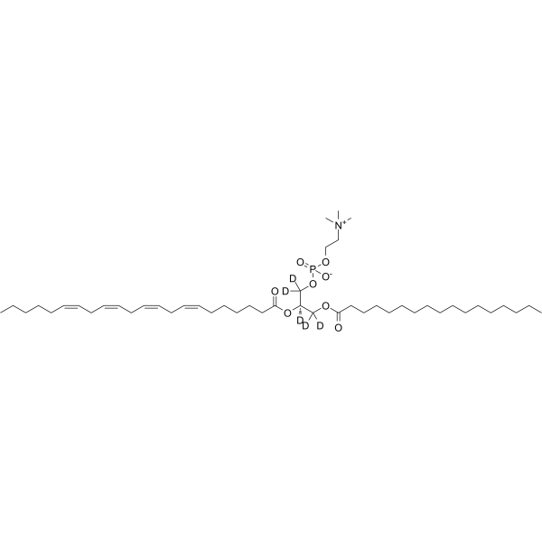 17:0-22:4 PC-d5